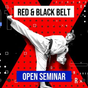 St Albans TaeKwon Do / Martial Arts Red & Black Belt TaekWonDo Seminars