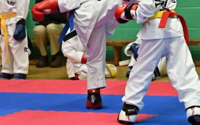 Taekwondo Championships